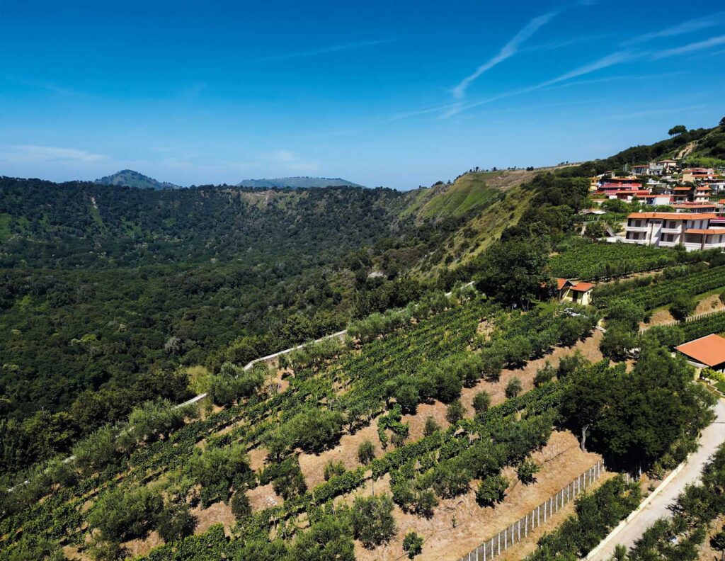 Vigna Astroni vista dall'alto