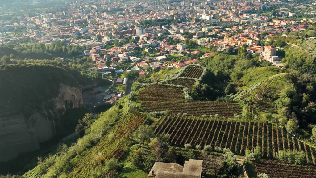 Vista aerea Tenuta Camaldoli